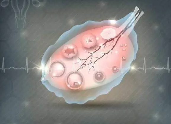 解释一下捐卵试管婴儿是否是自己的生理？哪些情况下可以选择捐卵试管婴儿(图2)