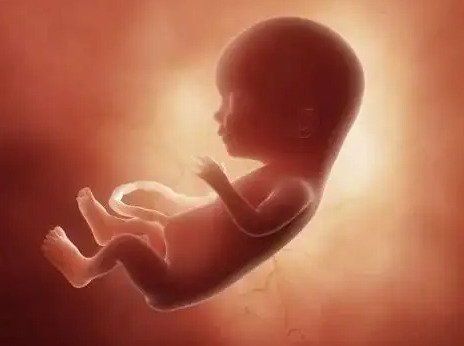 解释一下捐卵试管婴儿是否是自己的生理？哪些情况下可以选择捐卵试管婴儿(图3)
