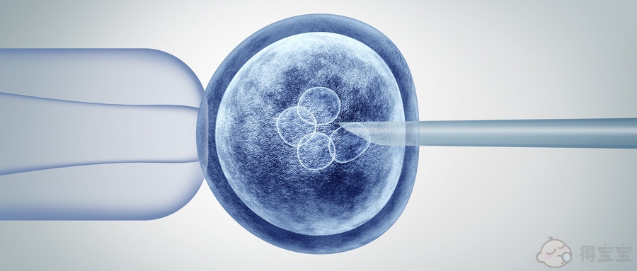 为什么取到的卵子数量很多，但获得的胚胎却不多？(图1)